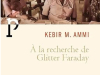 The cover to À la recherche de Glitter Faraday by Kebir M. Ammi