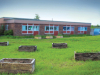 Small raised bed gardens dot the lawn of an empty schoolyard