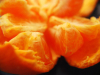 Esther Schwarz, “Lush (66/365),” 2009. For more of Schwarz’s photos, visit Inside My Shell.