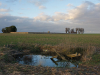 A photograph of a landscape, with a dilapidated looking pond in the foreground and acres of ground stretching out behind it with a cemetery in the distant background