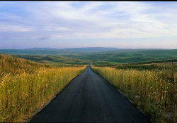 A photograph of a paved highway running down the center to the horizon between planted fields