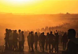 A photograph of a throng of people walking on a dusty landscape at sunset