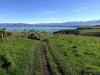 A foot path snakes away from the viewer toward a cliff and the ocean beyond