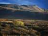 A photograph of a sparse, scrubby grassland at the foot of a mountain