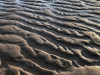 A sandy beach, capping with small dunes, as water infills the spaces between