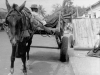 A black and white film still. A man reclines in the back of a wagon pulled by a donkey while another man, sitting on the sidewalk adjacent, looks at him