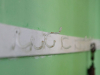 A photograph of a worn rack of coat hooks mounted on a white board, which is itself mounted on a lime-green wall