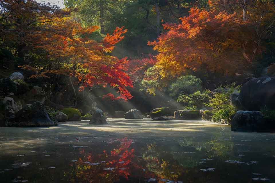 A photograph of a lake surrounded by trees in fall foliage