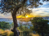 A photograph of a city in the distance beneath a rising sun. A tree dominates the foreground