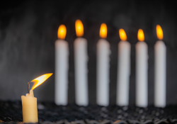 A photograph of six white candles burning