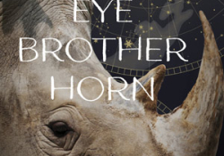 The cover to Eye Brother Horn by Bridget Pitt