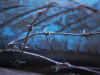 A photograph of a skein of barbed wire against an icy blue background