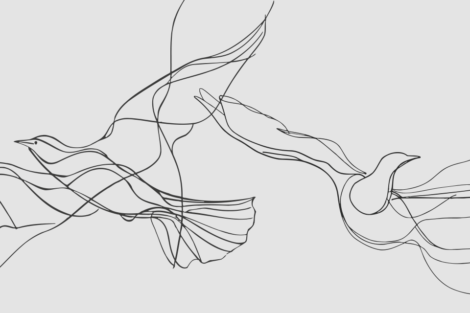 A spare line drawing suggesting avian form