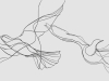 A spare line drawing suggesting avian form