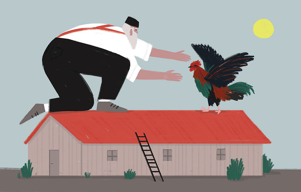 An illustration of a very large man grabbing a very large chicken, both standing atop a house