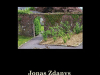 The cover to The Angled Road: Collected Poems, 1970–2020 by Jonas Zdanys